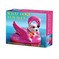 Produktbild: What Dogs Teach Us 2026 Box Calendar