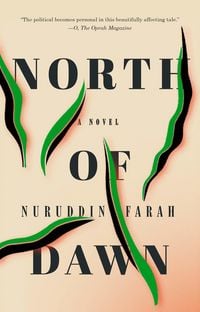 Produktbild: North of Dawn