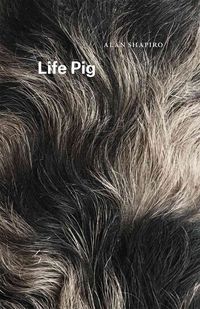 Produktbild: Shapiro, A: Life Pig