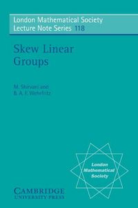Produktbild: Skew Linear Groups