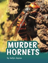 Produktbild: Murder Hornets