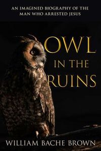 Produktbild: Owl in the Ruins