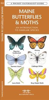 Produktbild: Maine Butterflies & Moths