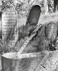 Bild vom Artikel Der jüdische Friedhof von Mikulov / Židovsky Hrbitov v Mikulove vom Autor Clemens Schülgen