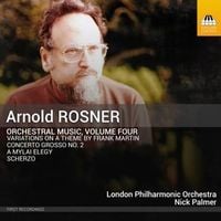 Produktbild: Orchestermusik,Vol.4