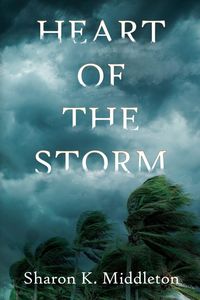 Produktbild: Heart of the Storm