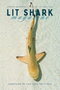 Produktbild: Lit Shark Magazine