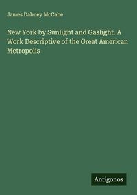 Produktbild: New York by Sunlight and Gaslight. A Work Descriptive of the Great American Metropolis
