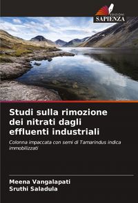 Produktbild: Studi sulla rimozione dei nitrati dagli effluenti industriali