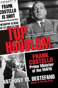 Produktbild: Top Hoodlum