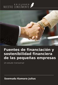 Produktbild: Fuentes de financiaci&oacute;n y sostenibilidad financiera de las peque&ntilde;as empresas