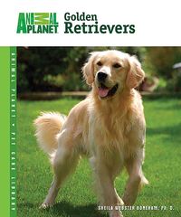 Produktbild: Golden Retrievers