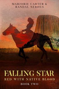 Produktbild: Falling Star