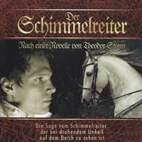 Produktbild: Der Schimmelreiter