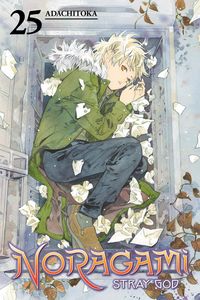 Produktbild: Noragami: Stray God 25