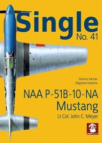 Produktbild: Naa P-51b-10-Na