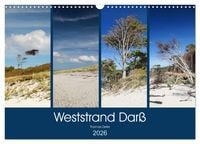 Produktbild: Weststrand Dar&szlig; (Wandkalender 2026 DIN A3 quer), CALVENDO Monatskalender