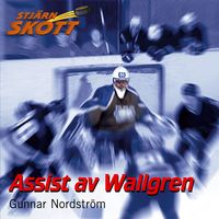 Produktbild: Assist av Wallgren