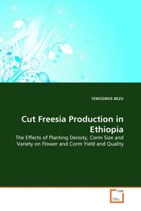 Produktbild: BEZU, T: Cut Freesia Production in Ethiopia