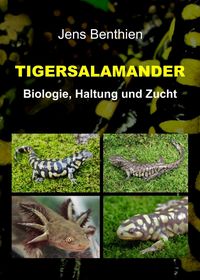 Produktbild: Tigersalamander
