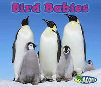 Produktbild: Bird Babies