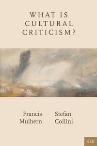 Produktbild: What Is Cultural Criticism?
