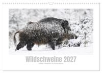 Produktbild: Wildschweine &ndash; Wildlife Fotografien (Wandkalender 2027 DIN A3 quer), CALVENDO Monatskalender