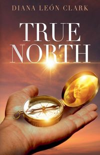 Produktbild: True North