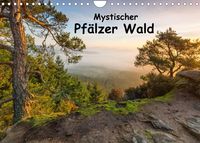 Bild vom Artikel Mystischer Pfälzer Wald (Wandkalender 2023 DIN A4 quer) vom Autor Bernd Leicht