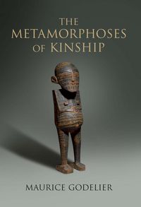 Produktbild: The Metamorphoses of Kinship
