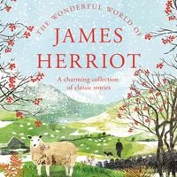Produktbild: The Wonderful World of James Herriot