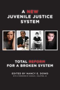 Produktbild: A New Juvenile Justice System