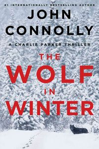 Produktbild: Wolf in Winter