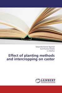 Produktbild: Effect of planting methods and intercropping on castor