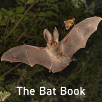 Produktbild: Bat Book