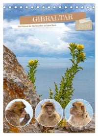Produktbild: Gibraltar - Die Heimat der Berberaffen auf dem Rock (Tischkalender 2026 DIN A5 hoch), CALVENDO Monatskalender