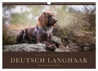 Produktbild: Passion Jagdhund - Deutsch Langhaar (Wandkalender 2027 DIN A3 quer), CALVENDO Monatskalender