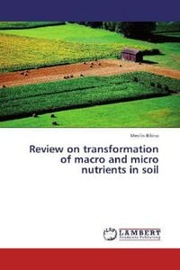 Produktbild: Bibiso, M: Review on transformation of macro and micro nutri