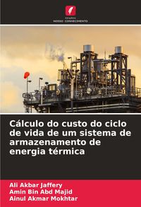 Produktbild: C&aacute;lculo do custo do ciclo de vida de um sistema de armazenamento de energia t&eacute;rmica