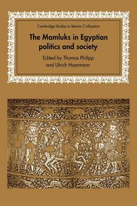 Produktbild: The Mamluks in Egyptian Politics and Society