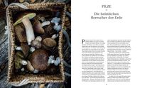 Into the Woods: Pilze suchen und Glück finden