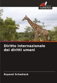 Produktbild: Diritto internazionale dei diritti umani