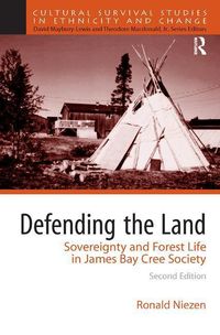 Produktbild: Niezen, R: Defending the Land