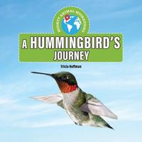 Produktbild: A Hummingbird's Journey