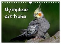 Produktbild: Nymphensittiche (Wandkalender 2027 DIN A4 quer), CALVENDO Monatskalender