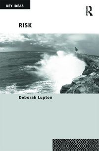 Produktbild: Lupton, D: Risk