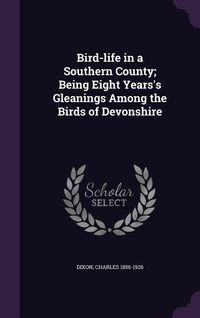 Produktbild: Bird-life in a Southern County; Being Eight Years's Gleanings Among the Birds of Devonshire