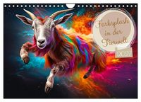 Produktbild: Farbsplash in der Tierwelt (Wandkalender 2027 DIN A4 quer), CALVENDO Monatskalender