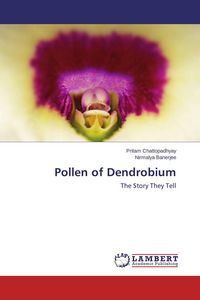 Produktbild: Pollen of Dendrobium