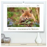 Produktbild: F&uuml;chse - zauberhafte Seelen (hochwertiger Premium Wandkalender 2026 DIN A2 quer), Kunstdruck in Hochglanz
